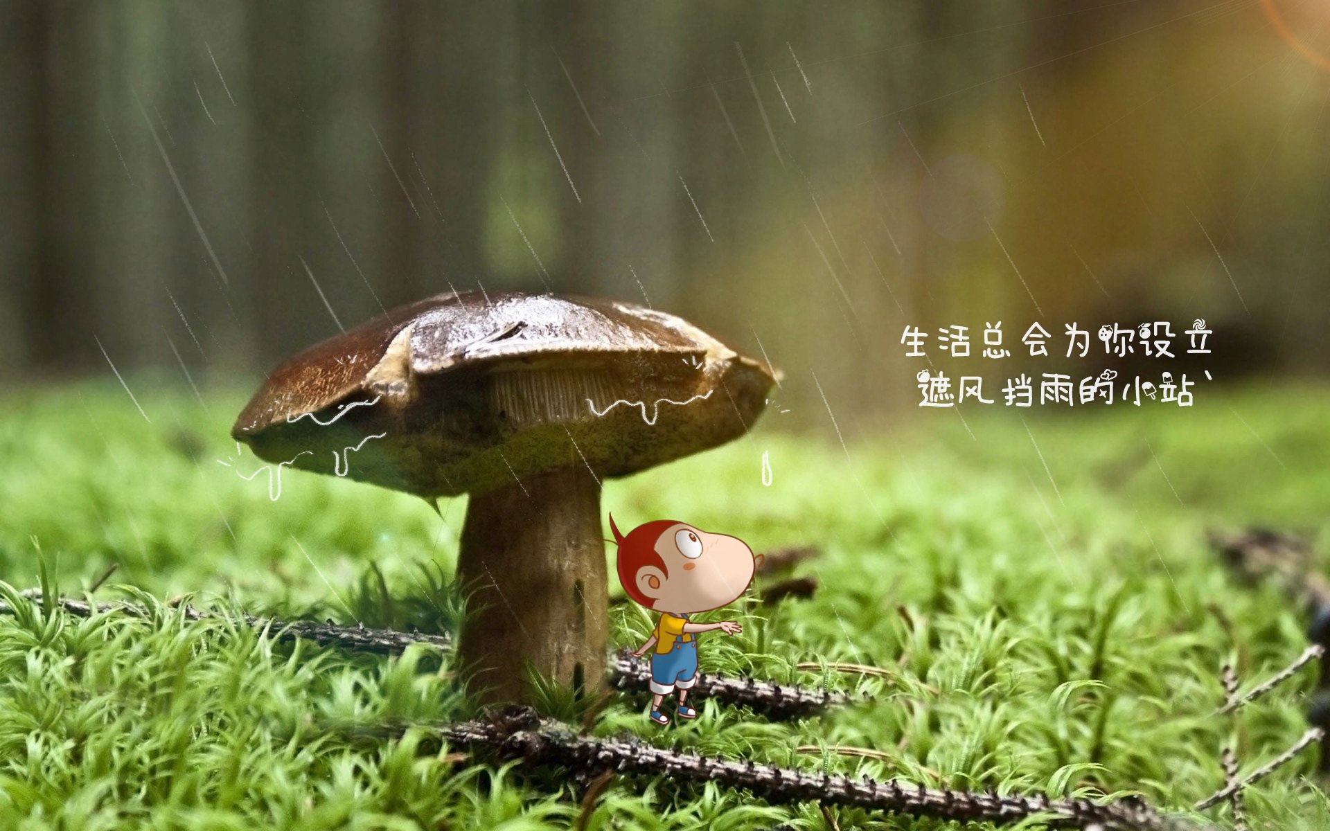 德甲联赛主场表现尤为出色，球队士气高昂，德甲联赛名称
