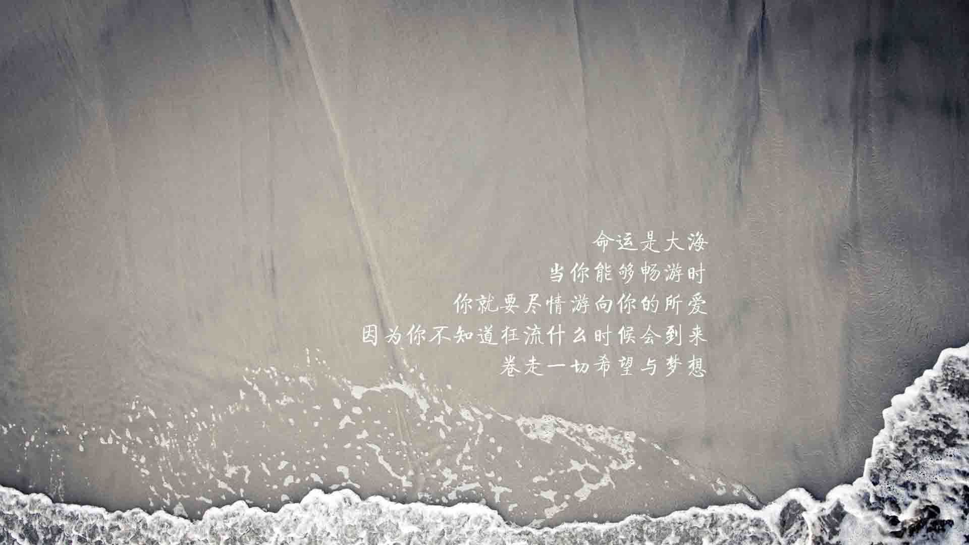 新疆队球员发挥出色，击败对手取得胜利，新疆队球员资料