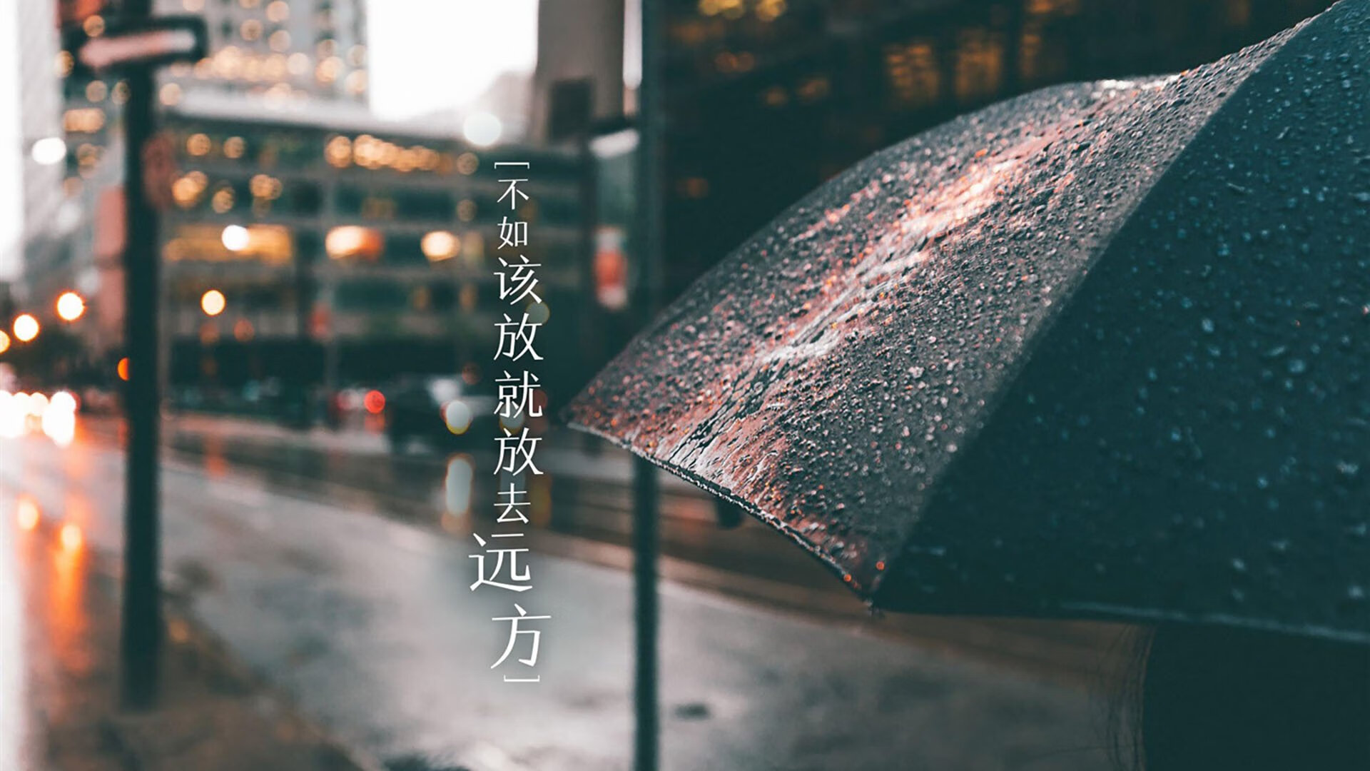 足球比赛现场掌声不断，气氛热烈，足球赛场上观众人声鼎沸
