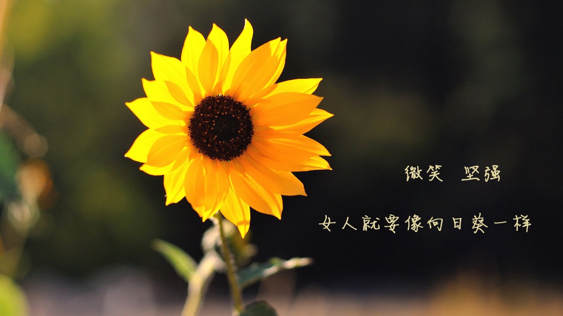 体育赛事观众服务创新举措，体育赛事服务内容有哪些