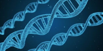 篮球专项技能教学创新与实践研究及效果评估，篮球教学实施报告 教学能力比赛