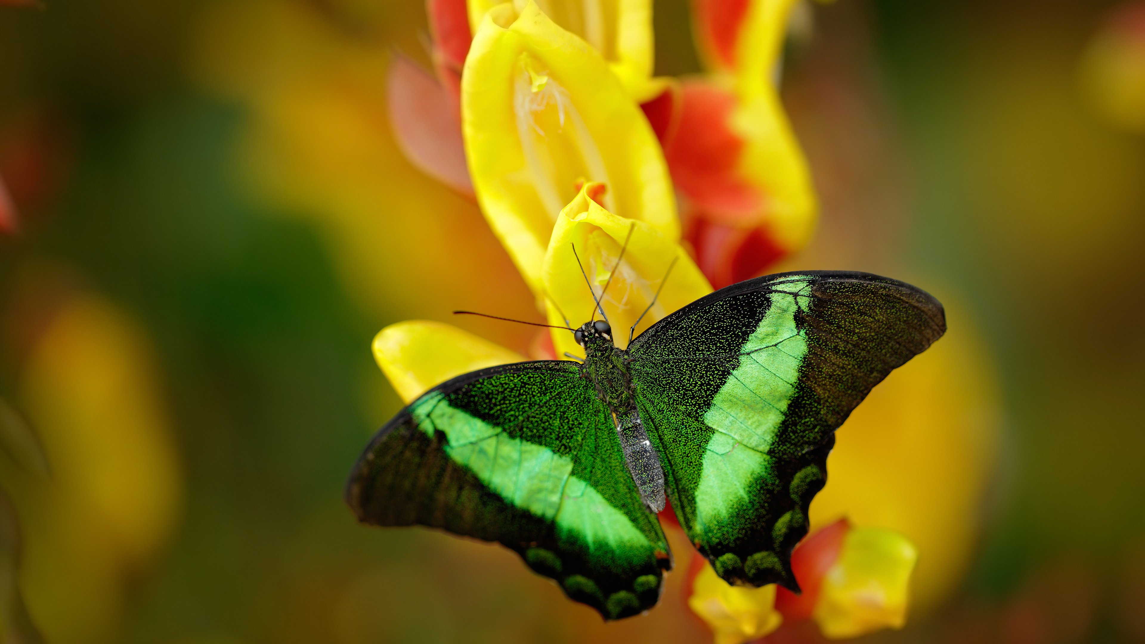 训练营团队结构精简提高协同效率,训练营团队口号