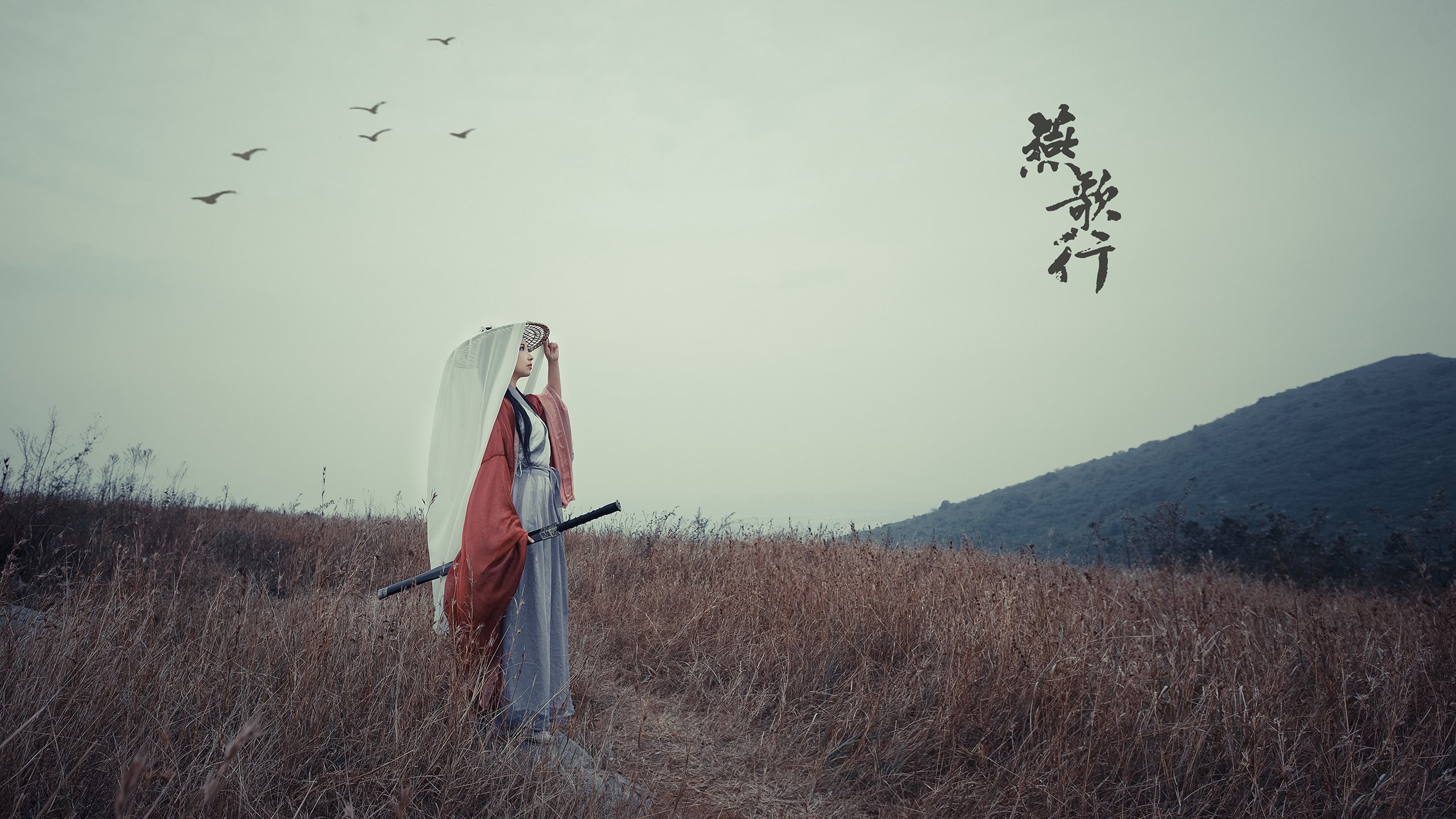 混合泳对决比利时沉着冷静，混合泳预赛