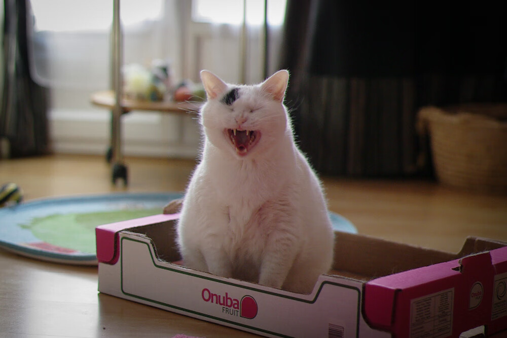 美洲杯明星争光:突破、精彩助攻!,美洲杯选手