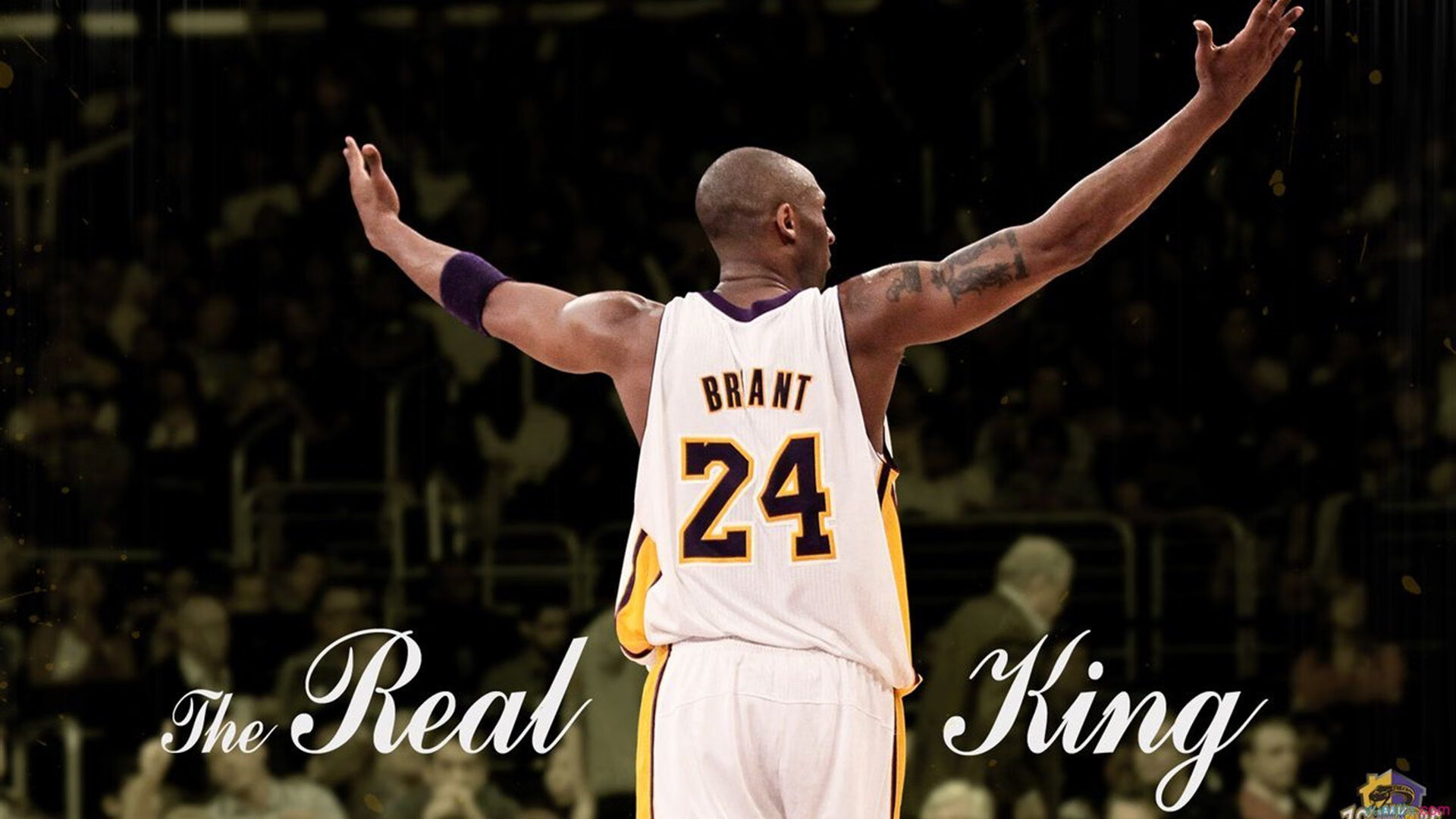 火箭新援首秀引发关注，火箭队引援