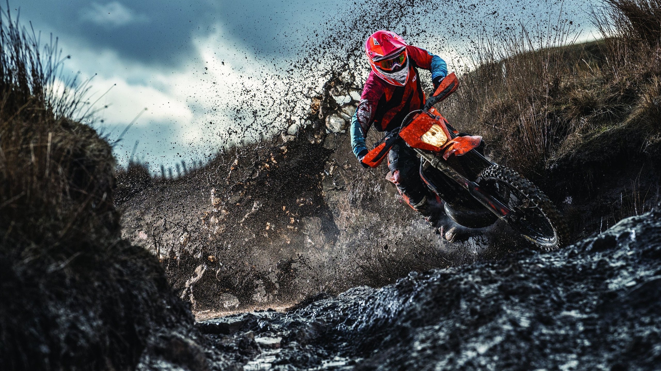 赛季中，他多次用“钢铁意志”在关键时刻完成“完美封盖”！，钢铁意志特效